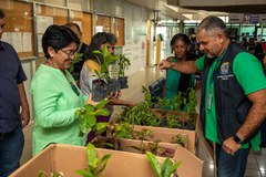 TRE-AM promove ação de educação ambiental com distribuição de mudas a servidores