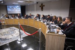 Decisões do Pleno destacam que a sátira não autoriza imputações de ilícitos sem suporte fático