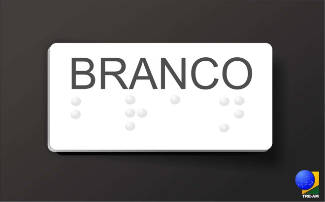 Qual é a diferença entre o voto em branco e o voto nulo? Qual é a diferença entre o voto em branco e o voto nulo?