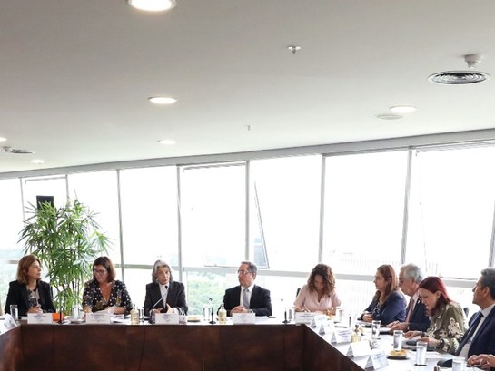 Reunião TSE Desdora Carla