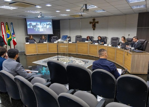 Sentença reconhece candidaturas femininas fictícias utilizadas para cumprimento da cota mínima p...