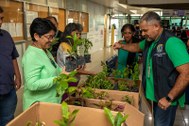 TRE-AM promove ação de educação ambiental com distribuição de mudas a servidores